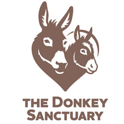 donkey sanctuary.png